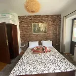 каменната къща Villa Borovo (Plovdiv)