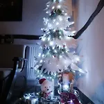 каменната къща Villa Borovo (Plovdiv)