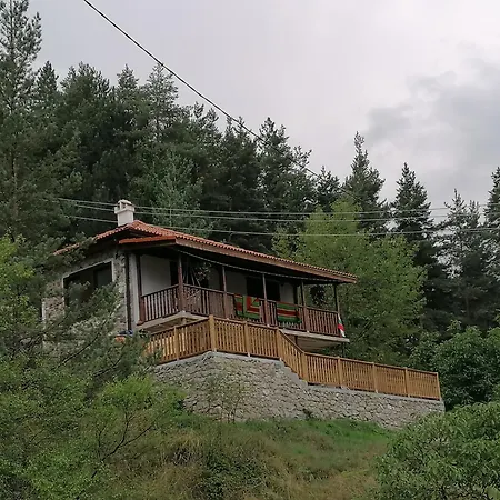каменната къща Villa Borovo (Plovdiv)