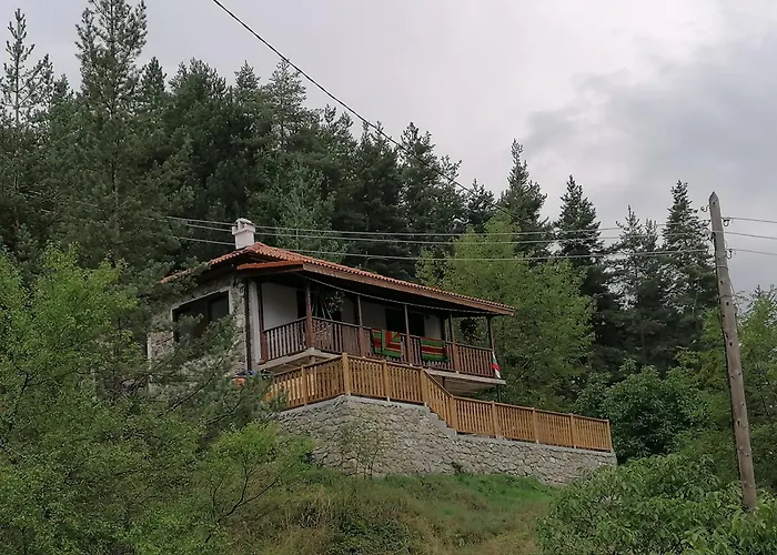 каменната къща ヴィラ Borovo