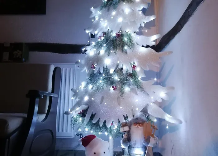 каменната къща Villa Borovo (Plovdiv)